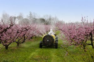 pesticides